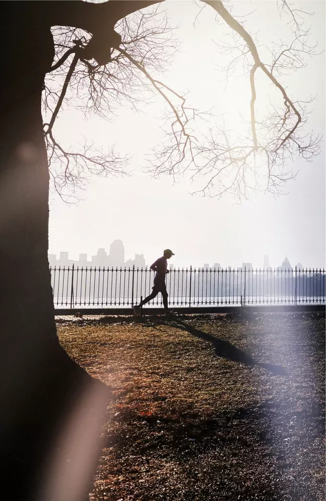una persona caminando en un parque junto a un árbol