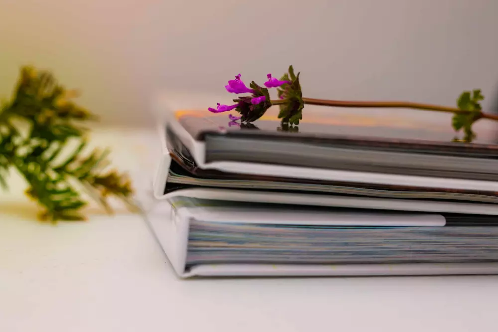 Ein Stapel Bücher neben einer lila Blume sitzend.