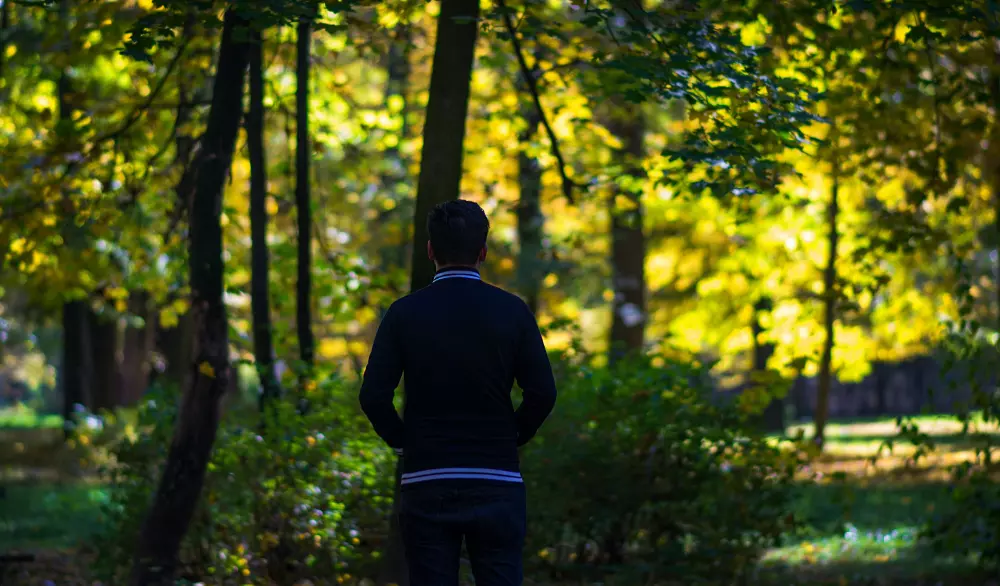 un hombre de pie en el bosque con la espalda hacia la cámara