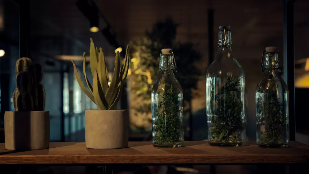 una mesa de madera con botellas llenas de plantas en la parte superior