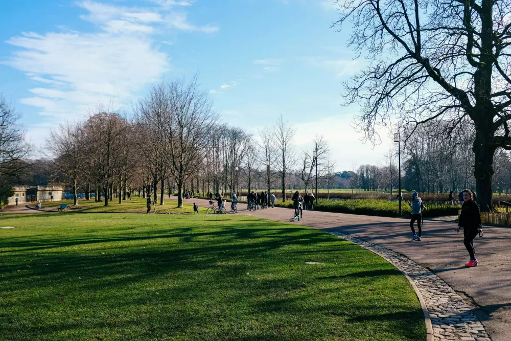 un grupo de personas caminando por un sendero en un parque