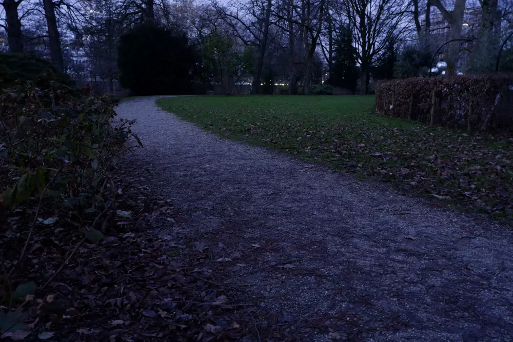 un camino en medio de un parque por la noche