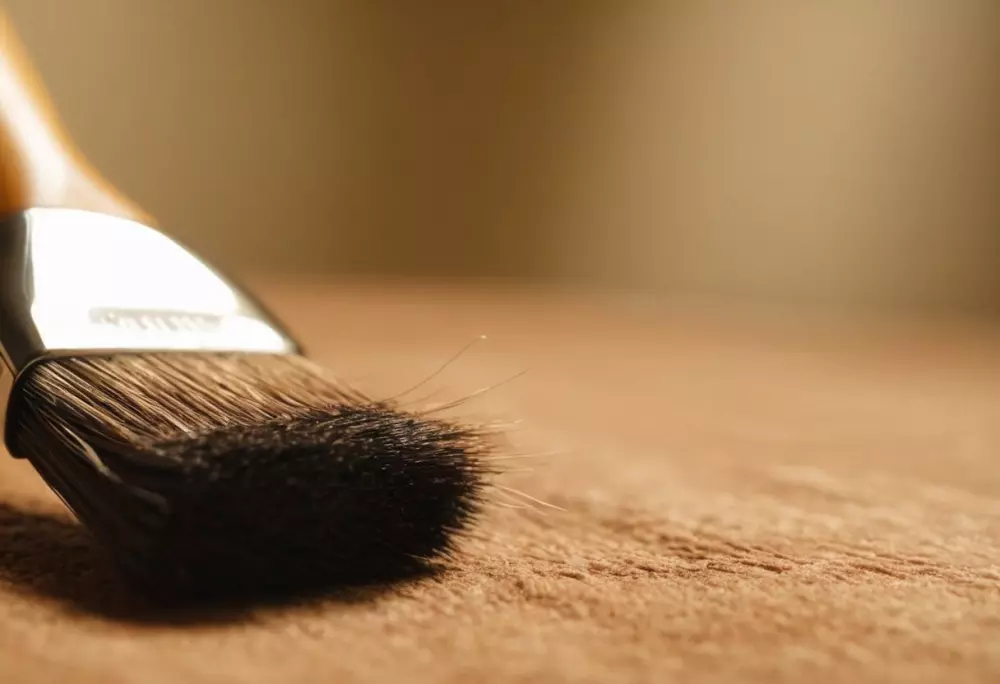 Eine Nahaufnahme einer trockenen Bürste, die auf die Haut aufgetragen wird, wobei die Textur der Bürste und der Haut hervorgehoben wird, in einem gut beleuchteten Raum, der die Technik demonstriert. Fotografisch, Fotografie mit einem Makroobjektiv, helles Licht und hohe Auflösung.