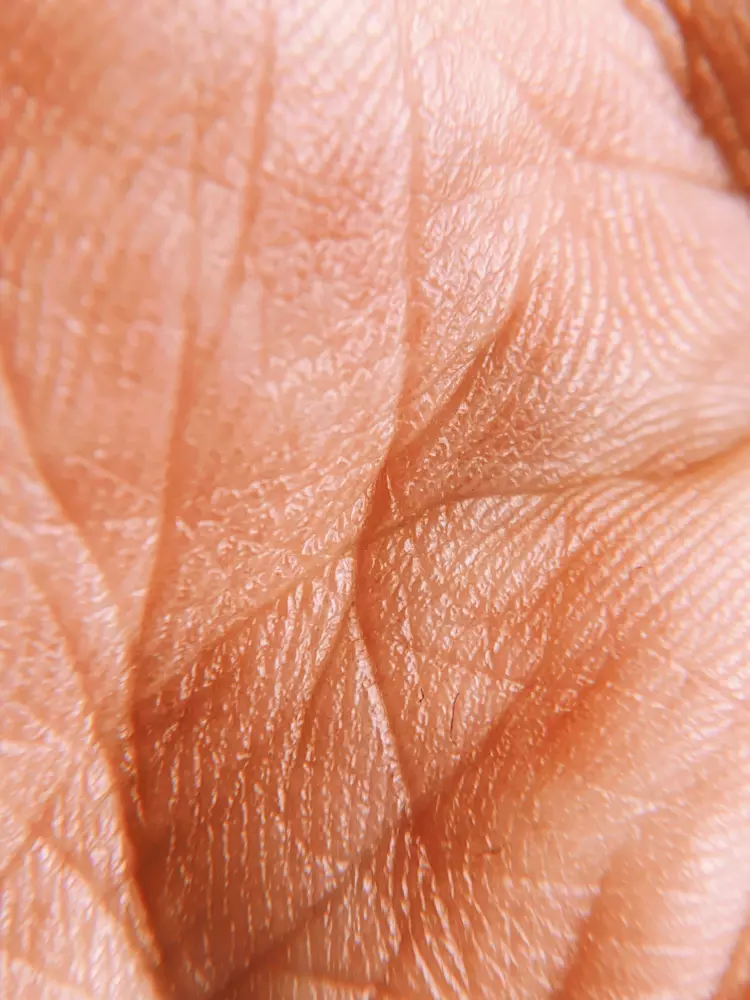 una vista cercana de la piel de una persona