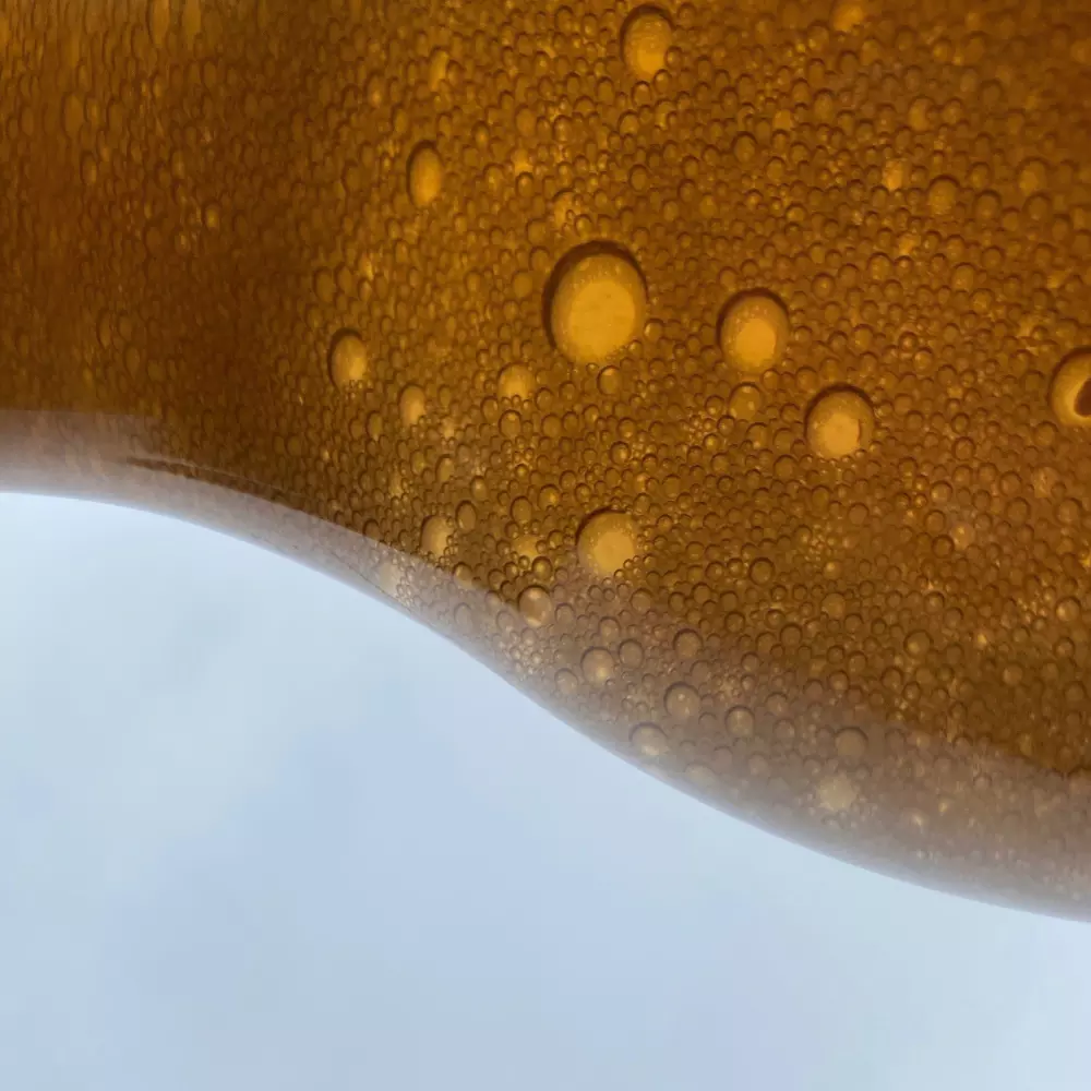 un primer plano de una cerveza con gotas de agua