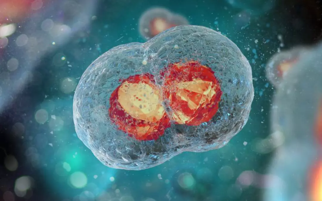 Potentials of Regenerative Medicine Explored