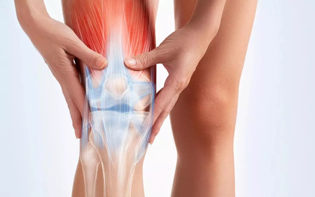 Stem Cell Knee Regeneration: Insights and Options