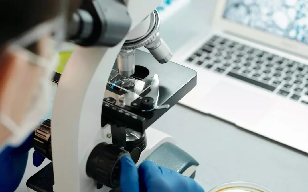 Exploring the Potential of Cell Regeneration Medicine