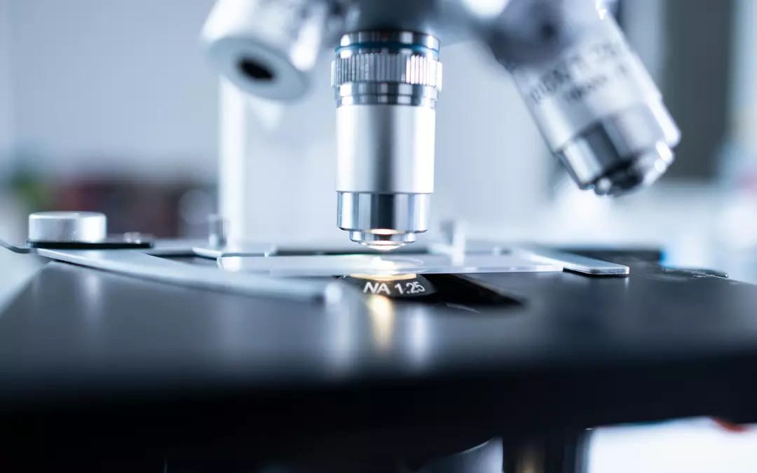 Exploring Exosomes Cancer Therapy: Innovations and Insights