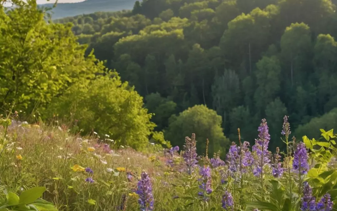 Poder Adelgazante de lo Natural y Ecol&oacute;gico