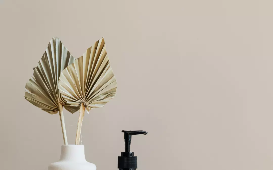 Gu&iacute;a Completa de Liposucci&oacute;n BBL