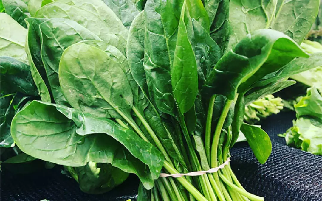 Ern&auml;hrungtipps f&uuml;r das Leben mit Lip&ouml;dem