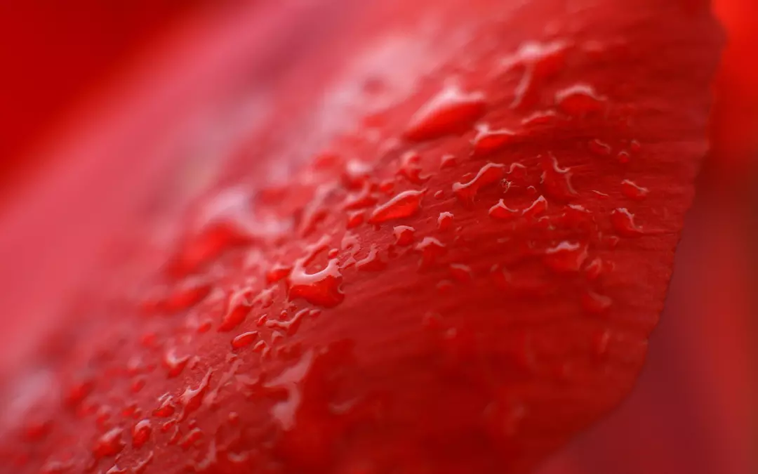 Blutgerinnsel verstehen: Ursachen, Symptome und Behandlung