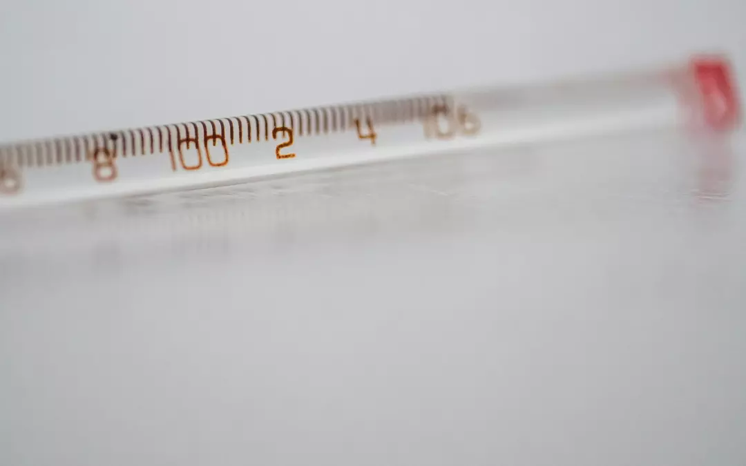 Kosten und Optionen der Besenreiser Spritze